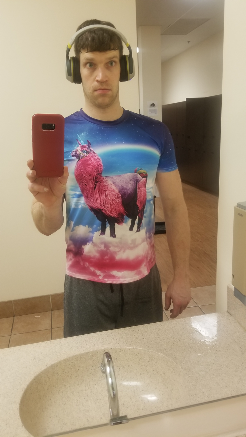 Just in case you were wondering what I was wearing, yes that is a Llamacorn. Best workout shirt.